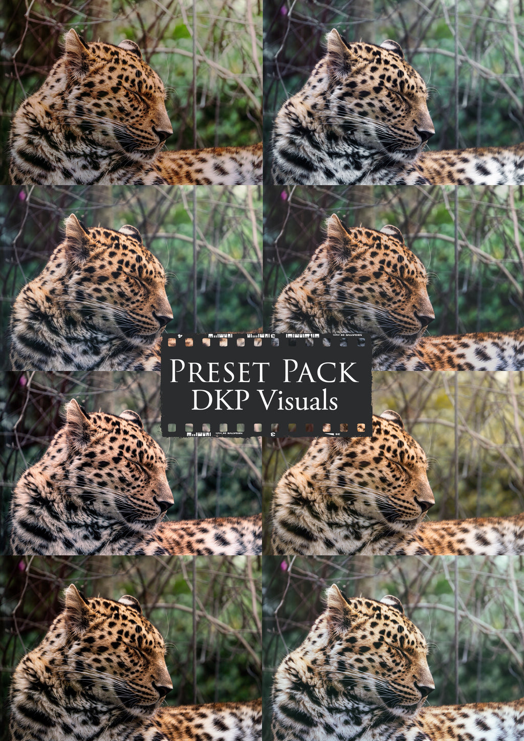 DKP Visuals - PRESET PACK