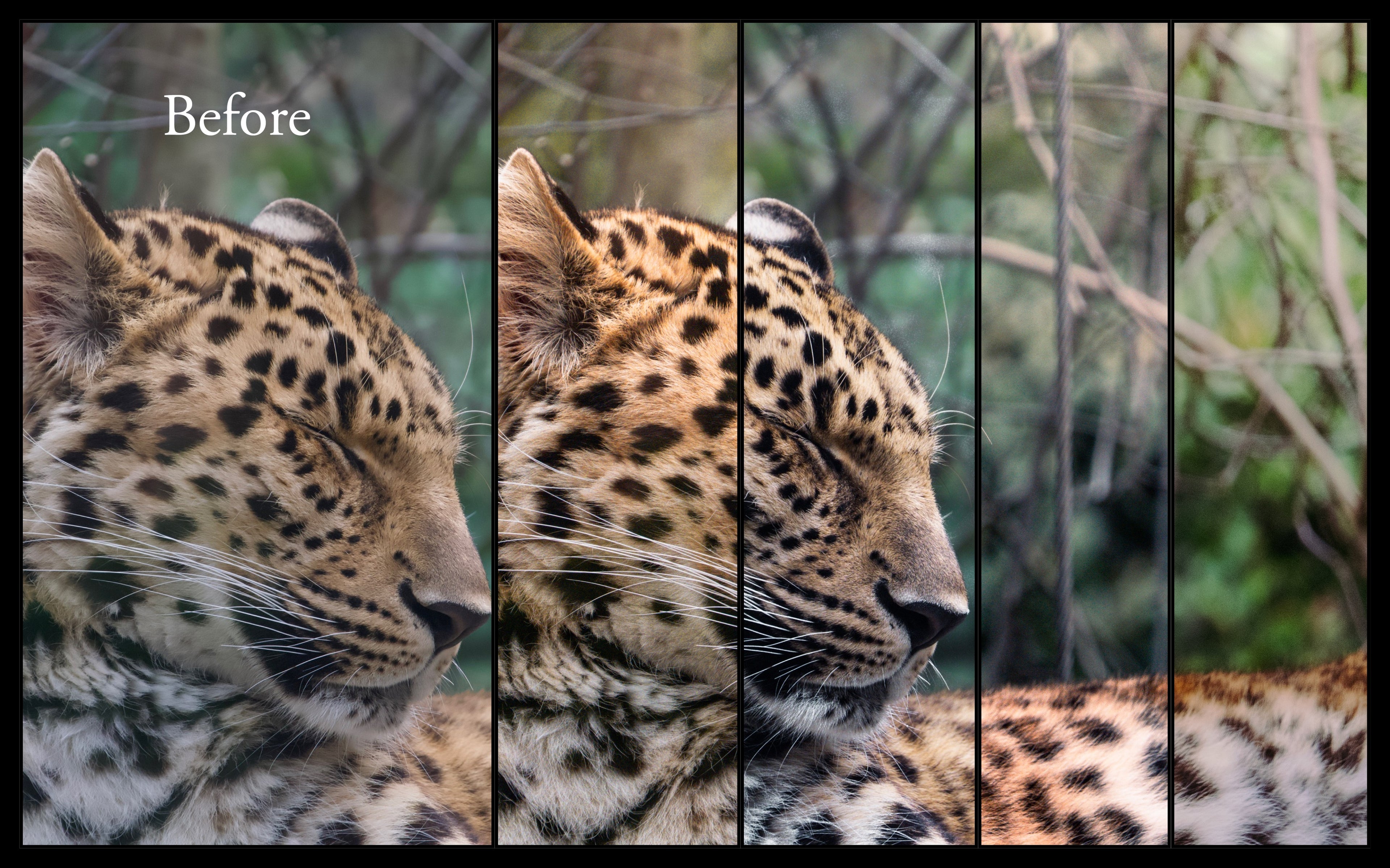 DKP Visuals - PRESET PACK